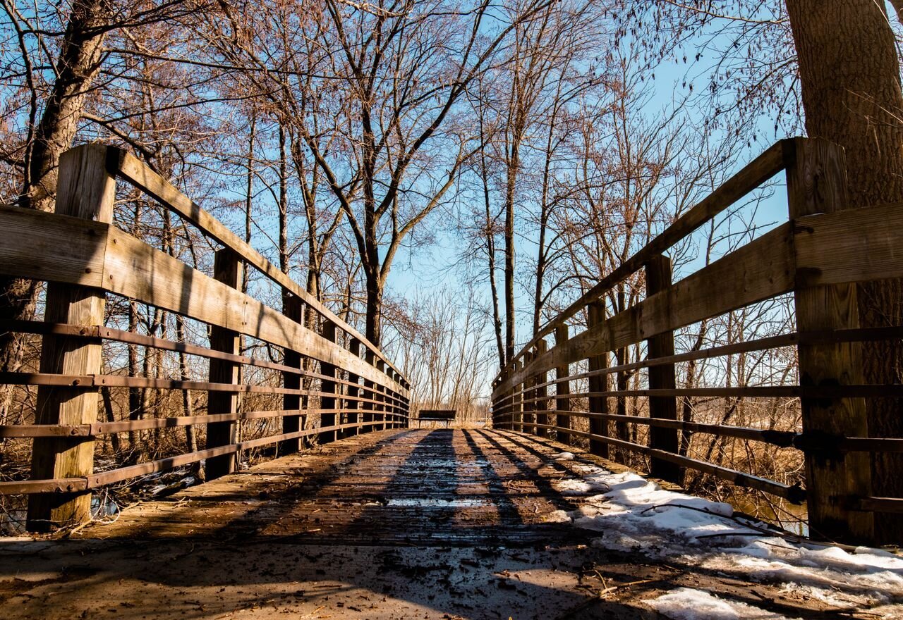 Boardwalk through bare winter trees in Michigan